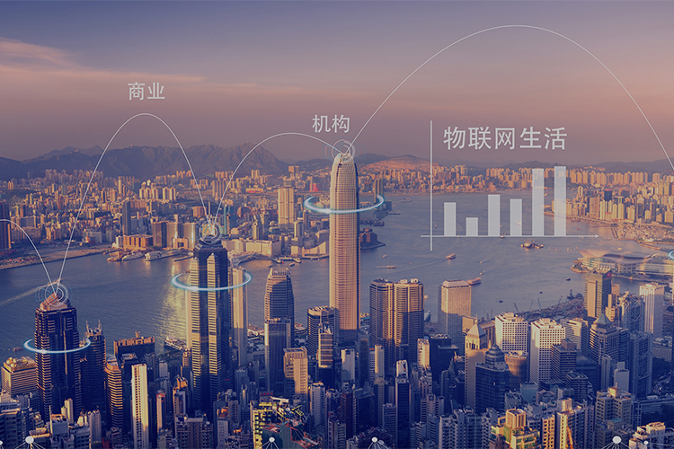 數(shù)字身份與智慧物聯(lián)平臺(tái)